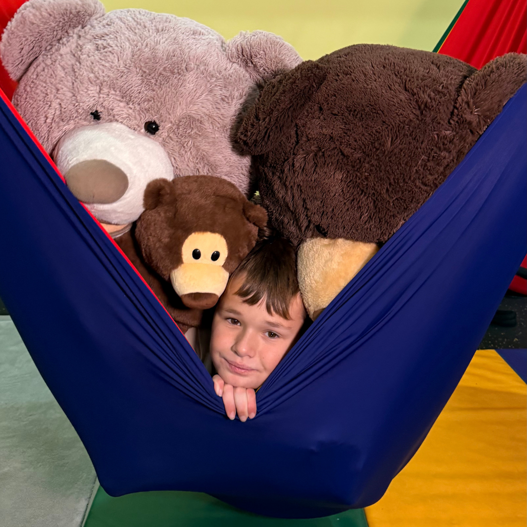 Lycra sensory Hammock