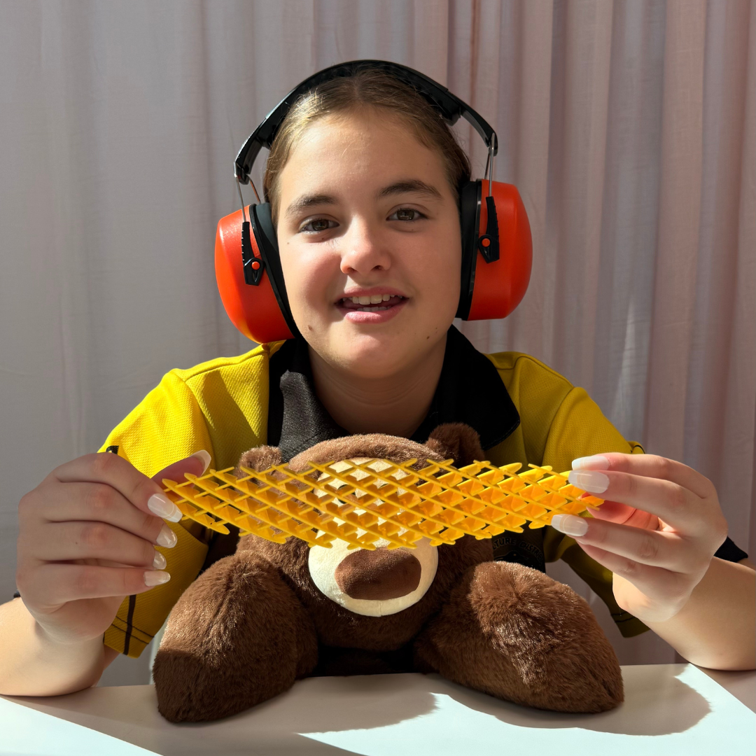 Sensory Earmuffs