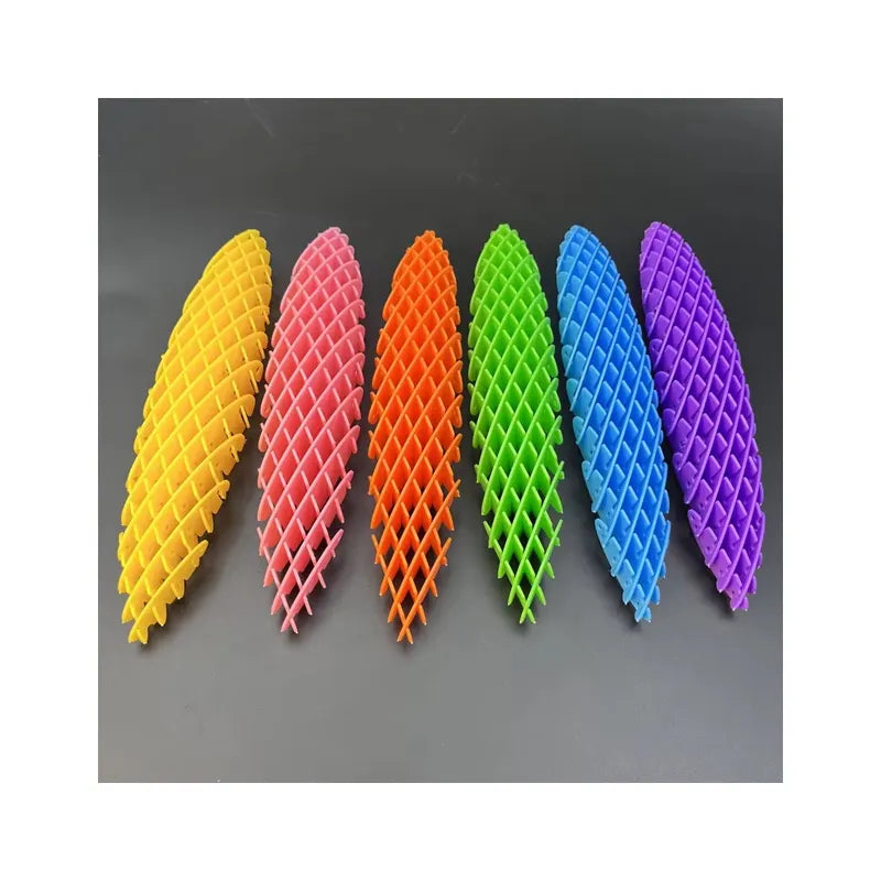 Fidget Worm Sensory Toy