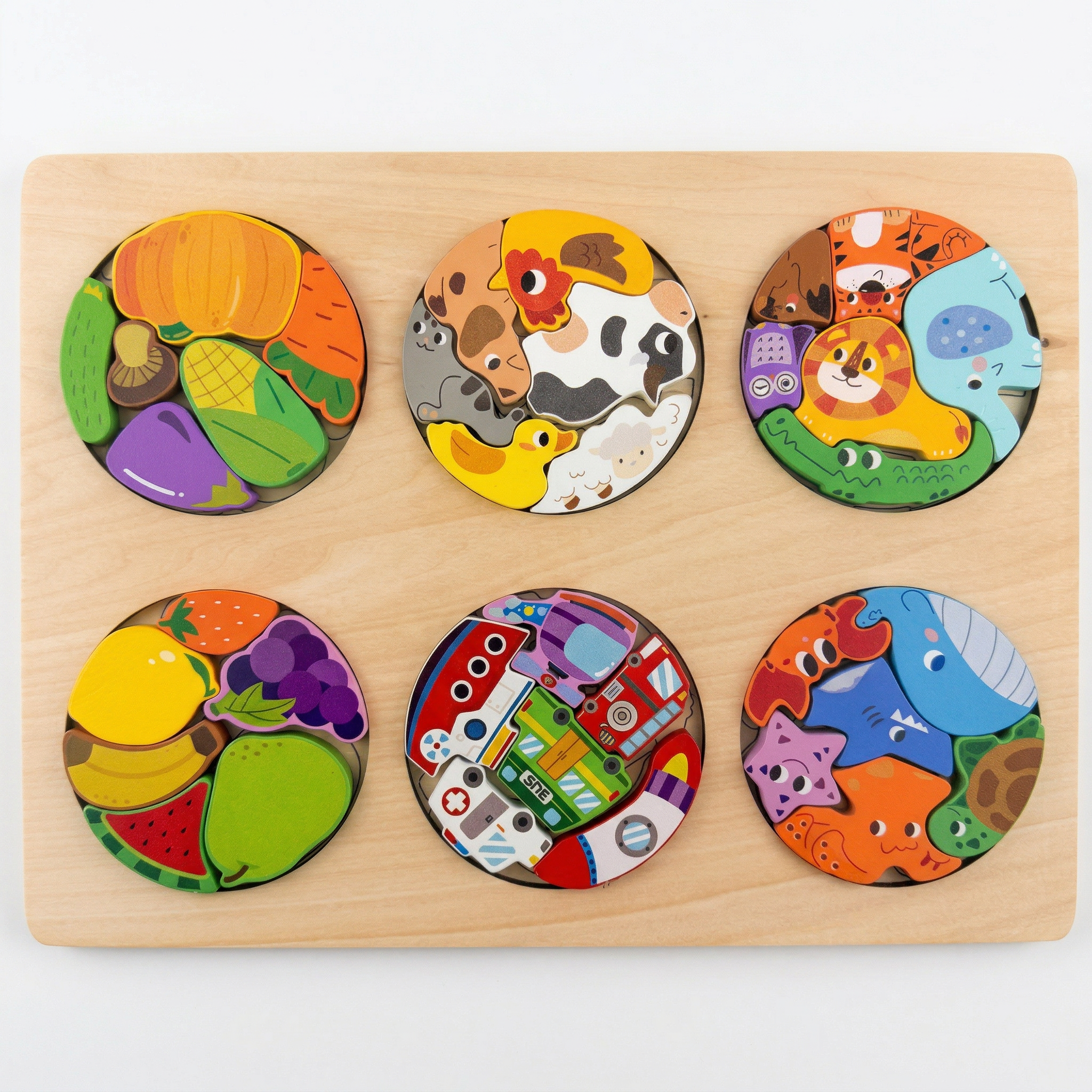 Wooden 6-in-1 Circle Sorting Puzzle