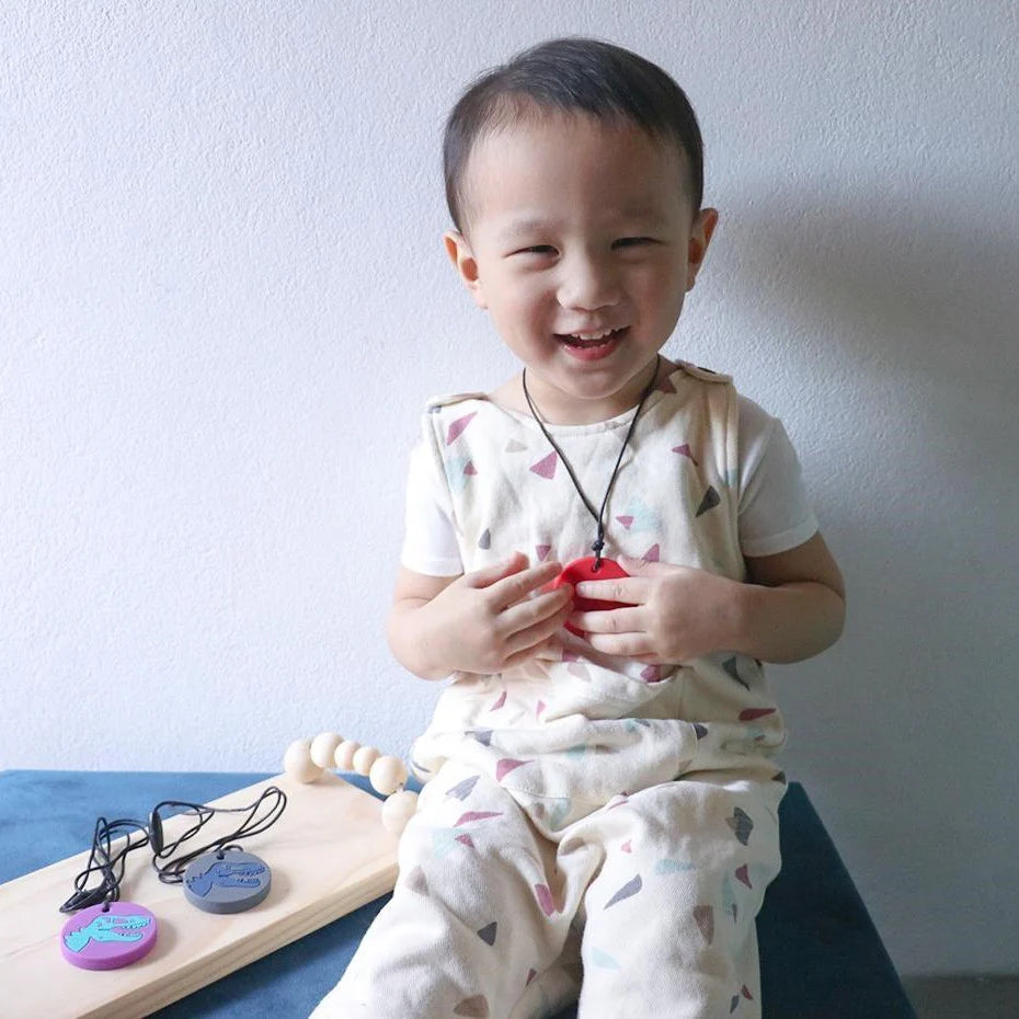 Dino Pendant Chew Necklace