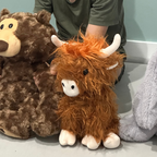 Weighted Highland Cow 1.4kg
